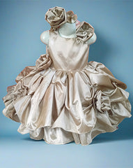 Royal Dress | Fancy & Flowy Frock